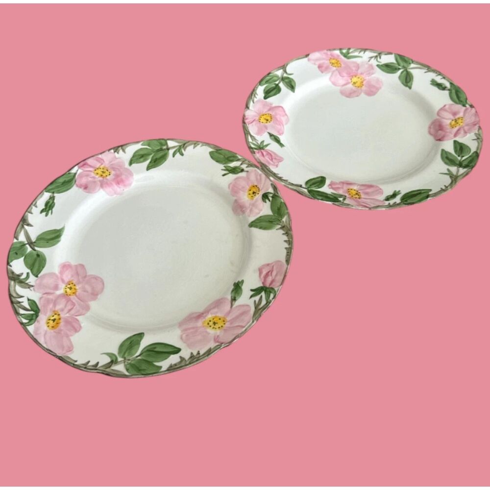 Franciscan Desert Rose 10.5” Dinner Plates x2 | 1975 USA | Vintage with Crazing